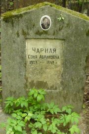 Чарная Соня Абрамовна, Москва, Востряковское кладбище
